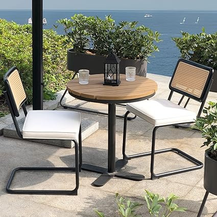 Meetleisure Patio Dining Chair Set of 2 with Waterproof Design Fabric for Outdoor Mid-Century Mod... | Amazon (US)