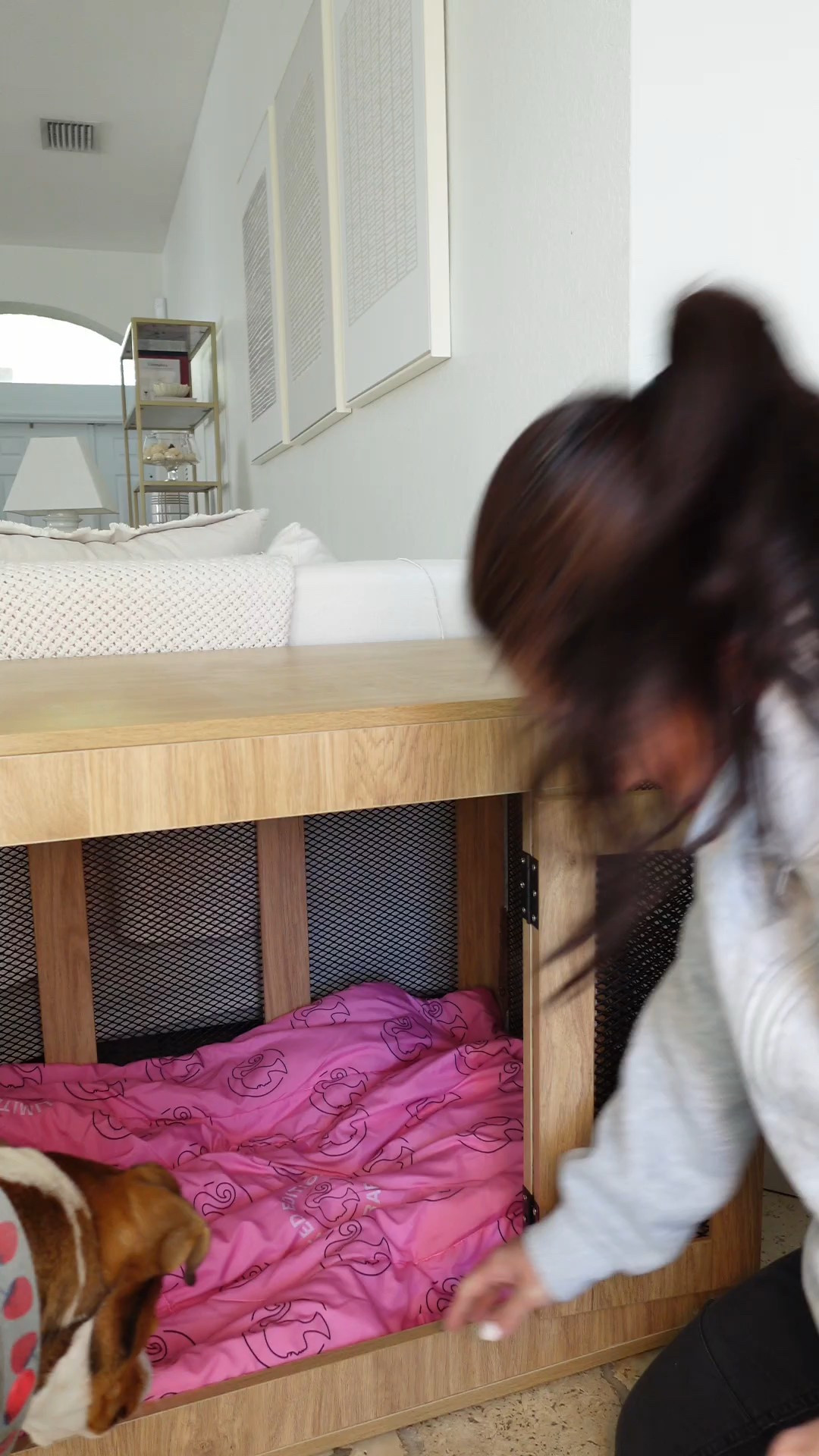 Chic dog crates that look just like furniture! 

#LTKHome