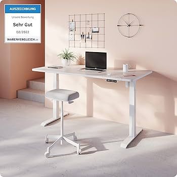 Desktronic Höhenverstellbarer Schreibtisch (160x80 cm) - Sitz- & Stehpult mit Ladebuchsen - Schr... | Amazon (DE)