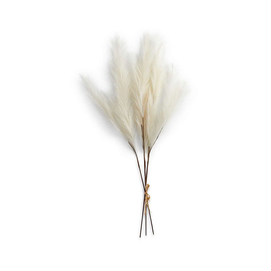 Artificial/Faux Ivory Pampas Grass Decor 45" + Reviews | Crate & Barrel | Crate & Barrel