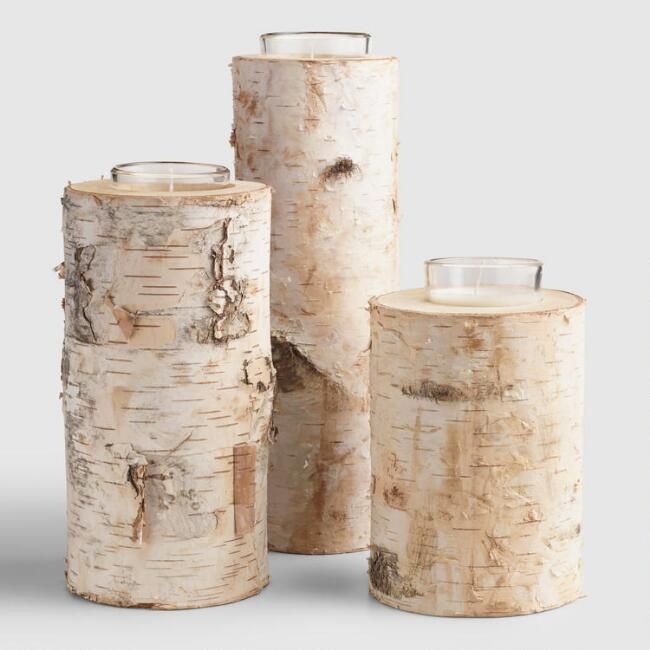 Birch Votive Candleholder | World Market