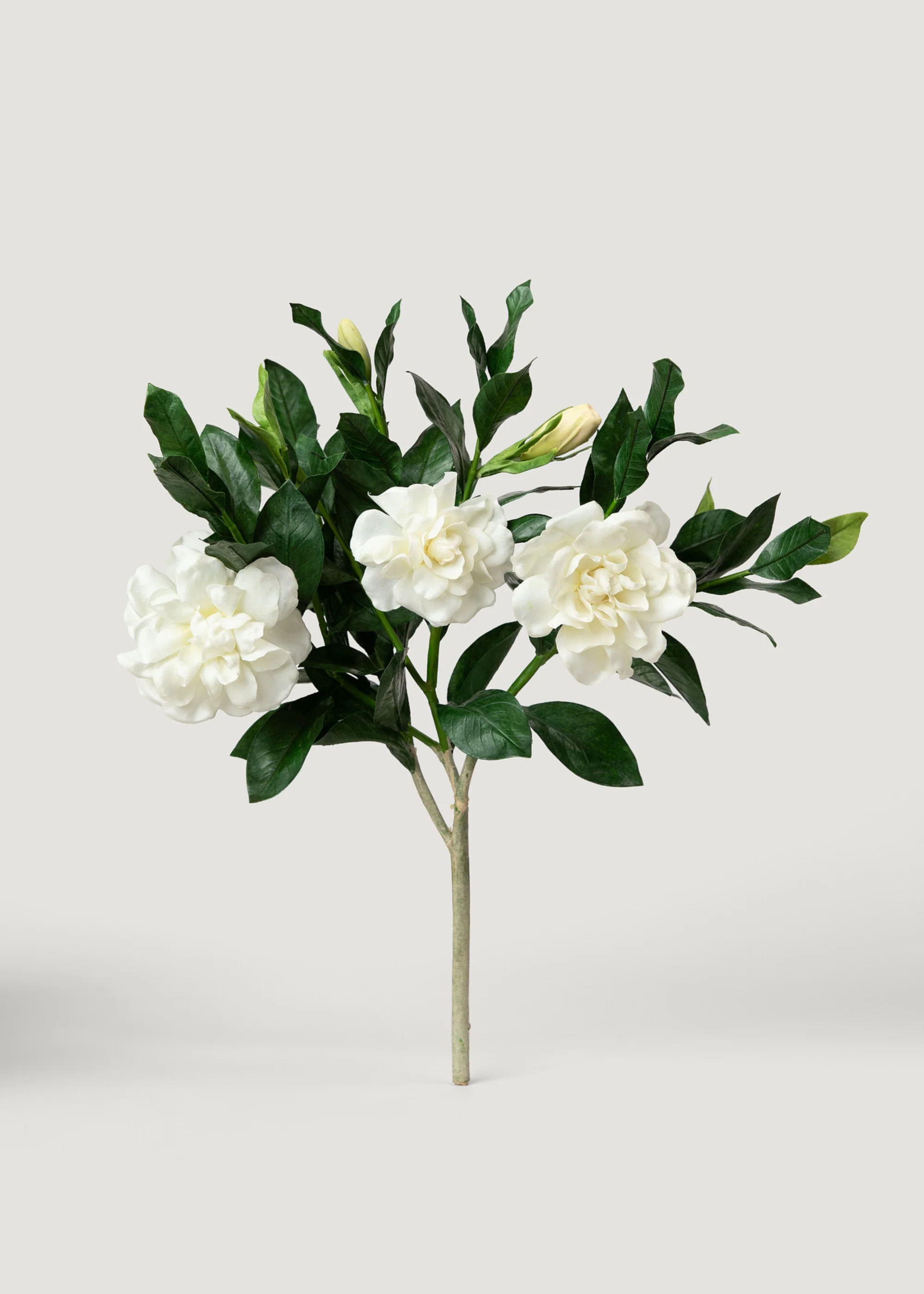Cream Faux Gardenia Branch | Luxe Artificial Flowers | Afloral | Afloral