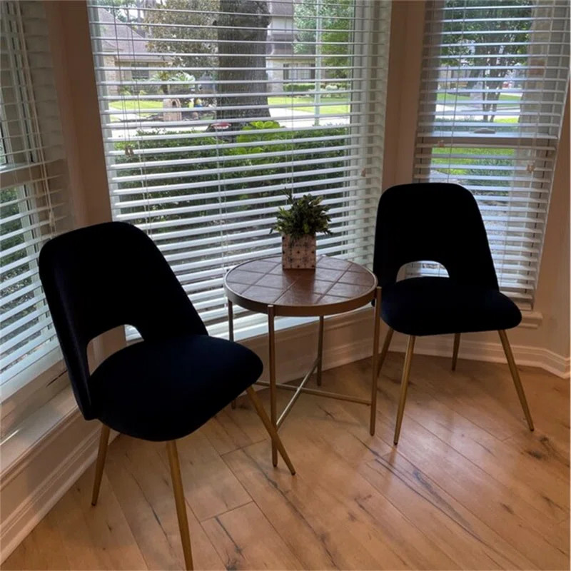 Amya Side Chair | Wayfair Professional