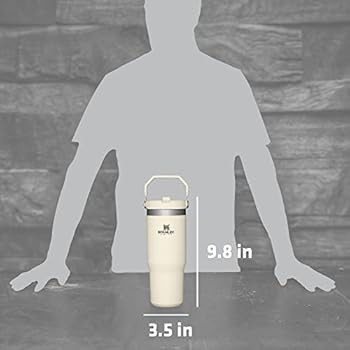 Stanley IceFlow Stainless Steel Tumbler with Straw, Vacuum Insulated Water Bottle for Home, Offic... | Amazon (US)