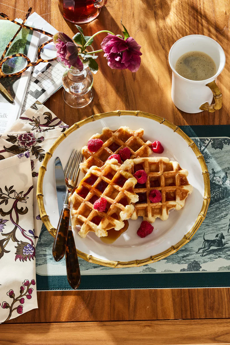 Middleburg Toile Reversible Wipeable Placemats Set of 4 | Tuckernuck (US)