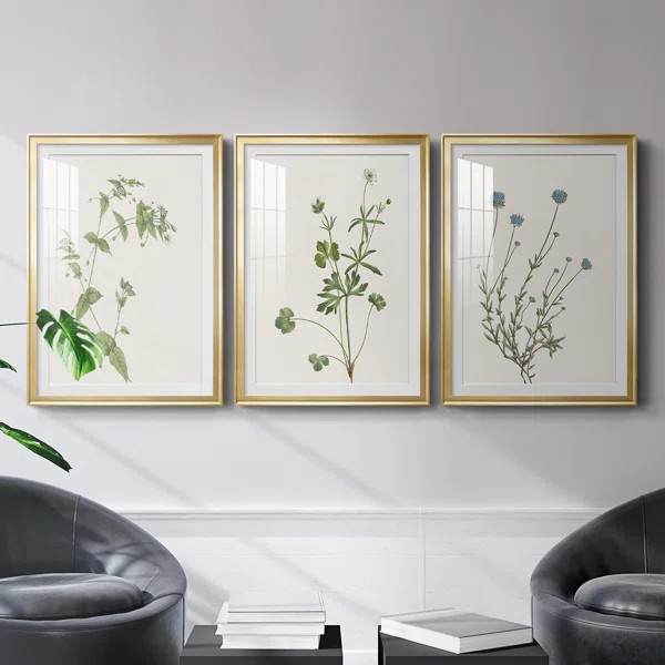 Wispy Botanical I Premium Framed Print - Ready To Hang (Set of 3) | Wayfair North America