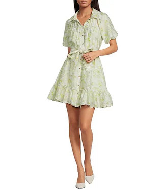 Claire Collared Short Sleeve Mini Shirt Dress | Dillard's