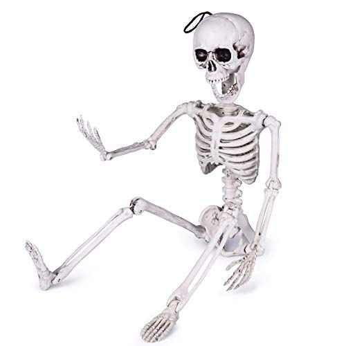 FUN LITTLE TOYS 24 Inches Halloween Posable Skeleton, Full Body Skeleton Movable Joints, Plastic ... | Amazon (US)