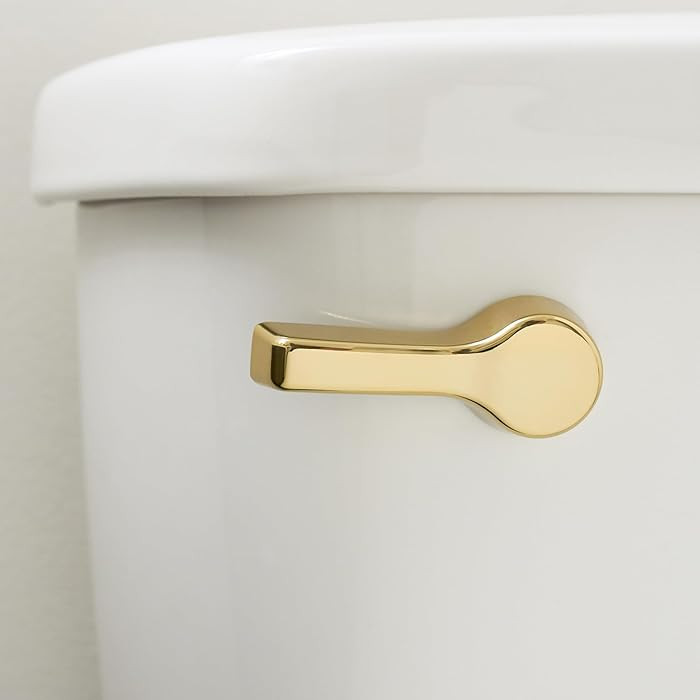 Qualihome Front Mount Toilet Handle, Universal Toilet Flush Handle, Elegant Toilet Lever, Complet... | Amazon (US)