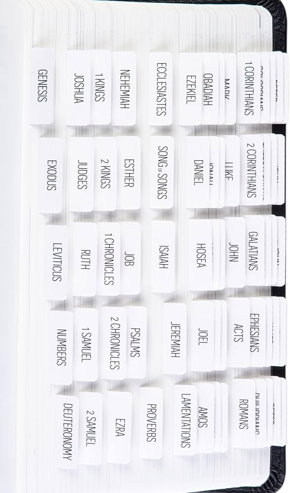 DiverseBee Laminated Bible Tabs (Large Print, Easy to Read), Bible Journaling Supplies, Bible Boo... | Amazon (US)