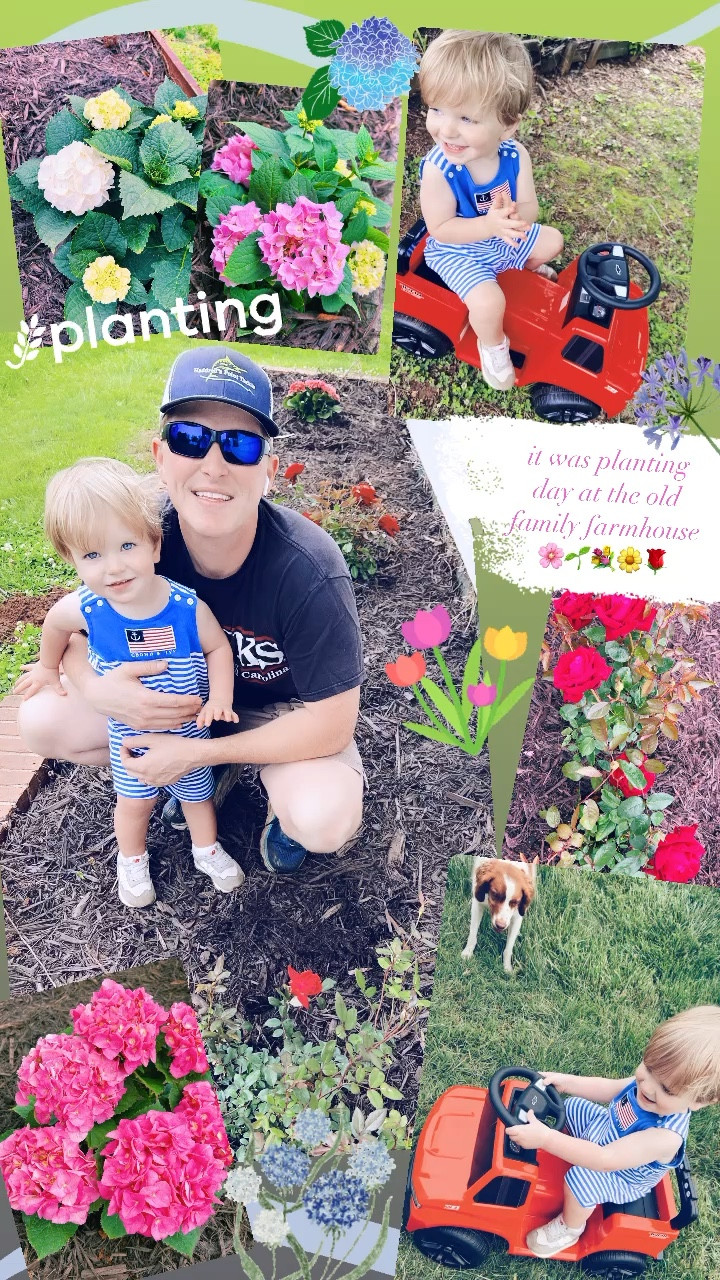 it was planting day at the old family farmhouse 🌸🌱💐🌼🌹