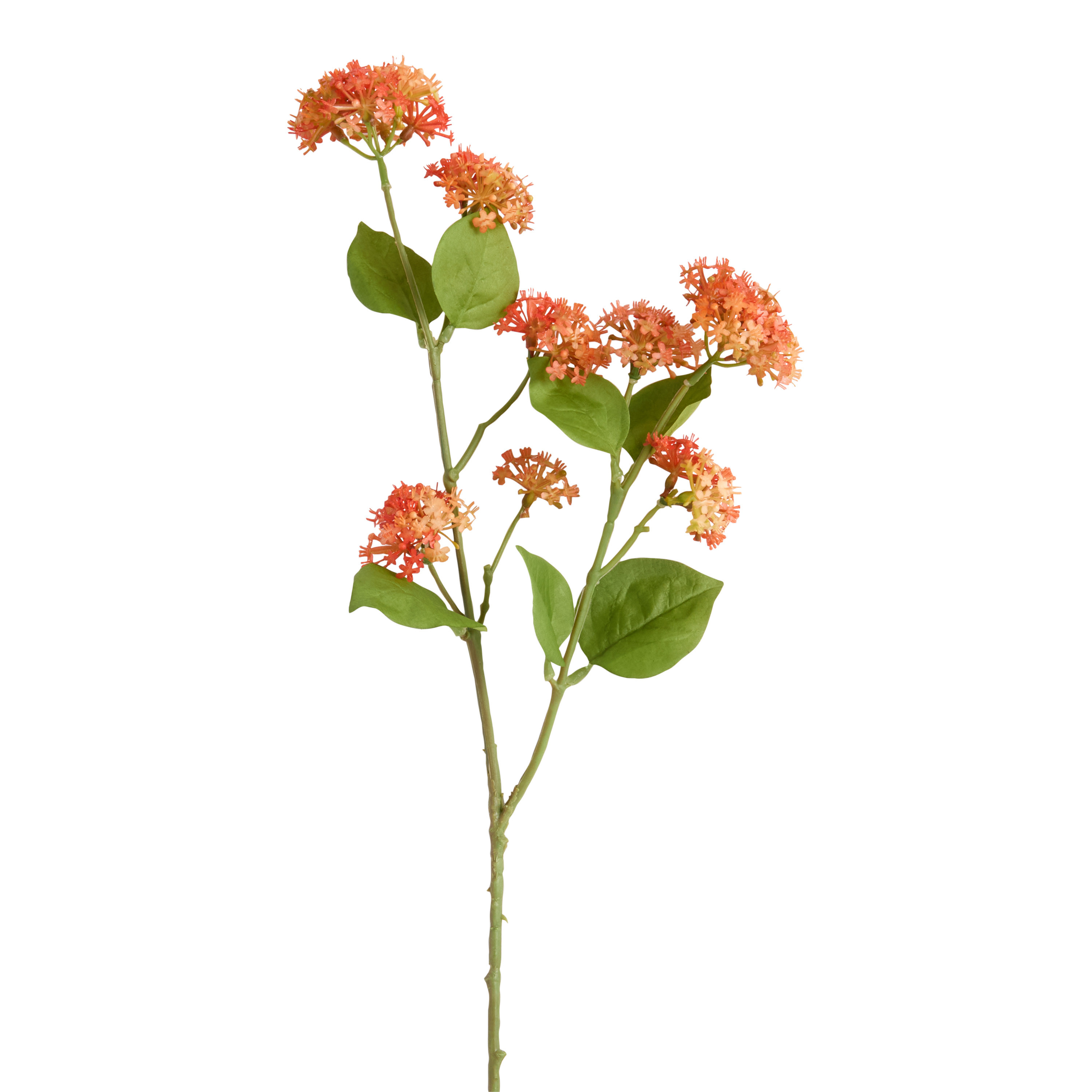 Faux Milkweed Stem | World Market