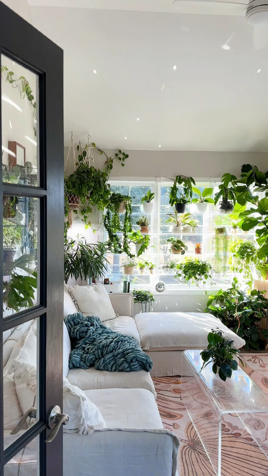 Cozy sunroom/plant room vibes. This room will get me through winter with the cloud sofa, warm rug & tons of windows!

#LTKSeasonal #LTKVideo #LTKHome