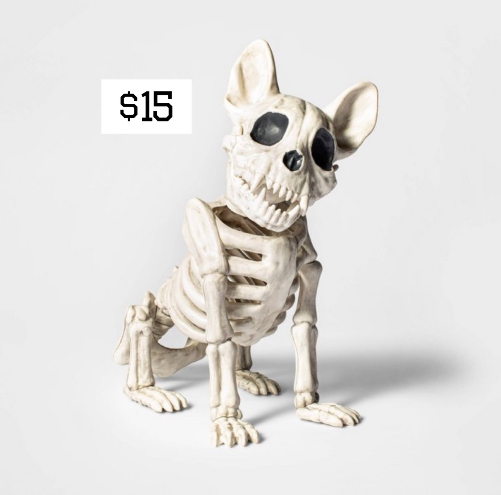 Halloween decor at @target. French bulldog skeleton. 
Hyde & EEK collection is on. Love all the skeletons 🖤

#target #halloween 

#LTKSeasonal #LTKhome #LTKFind