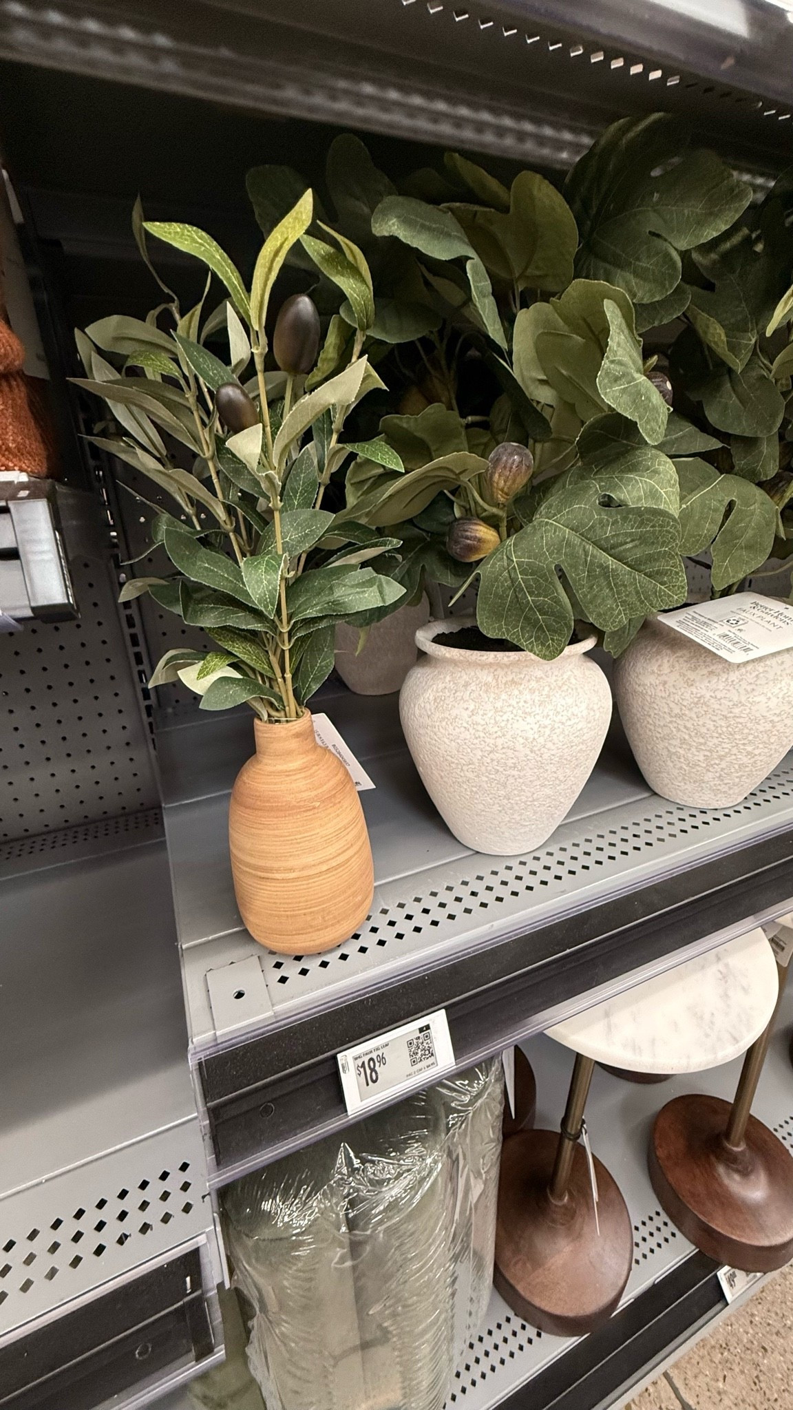 Walmart home finds that just live on my shelves 🌿✨ These faux olive branch and fig stems are giving all the warm, organic vibes — and that textured ceramic pot?? Chef’s kiss 🤌 Best part: starting at just $18.96!

#WalmartHome #WalmartFinds #WalmartDecor #FauxPlants #FauxOliveBranch #FauxFigStem #HomeDecorFinds #ArtificialPlants #NeutralHome #NeutralDecor #OrganicModernDecor #CeramicVase #ShelfDecor #HomeDecorOnABudget #BudgetHomeDecor #AffordableDecor #LTKHome #LTKFind #LTKStyleTip #ShopMyLTK