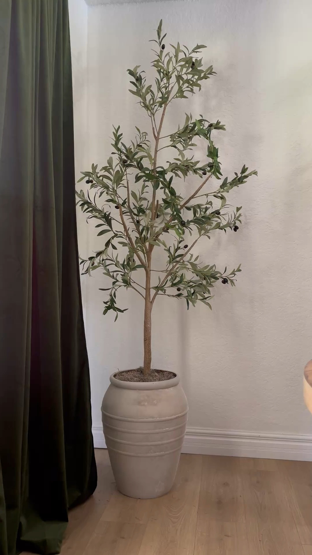 Olive Tree

Amazon home 
Home decor
Moody
Corner
Greenery
Mediterranean 
Garden
European

#LTKHome #LTKSaleAlert #LTKSeasonal