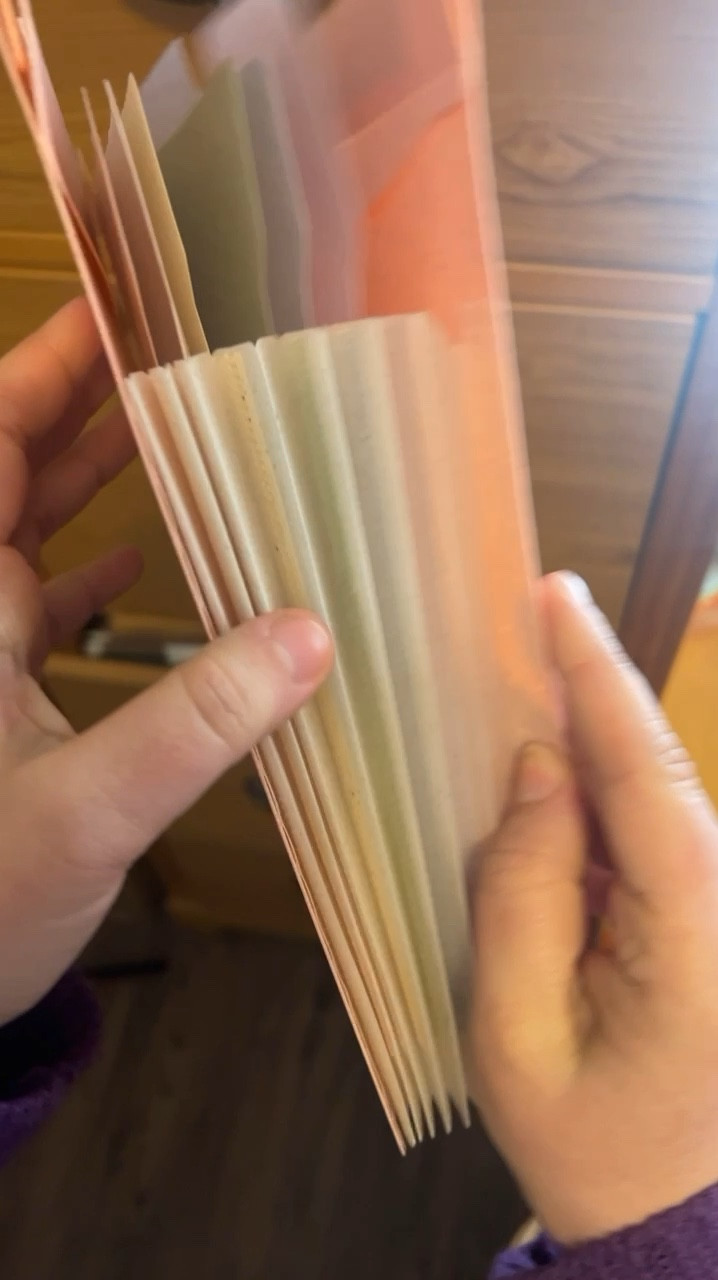 #ecostash #accordionfolder
grab one 15% off coupon on amazon, and there's an erxtra 20% off code as well, total is 35% off discount
Discount code: 20EcostashP




#LTKFindsUnder50 #LTKHome #LTKStyleTip