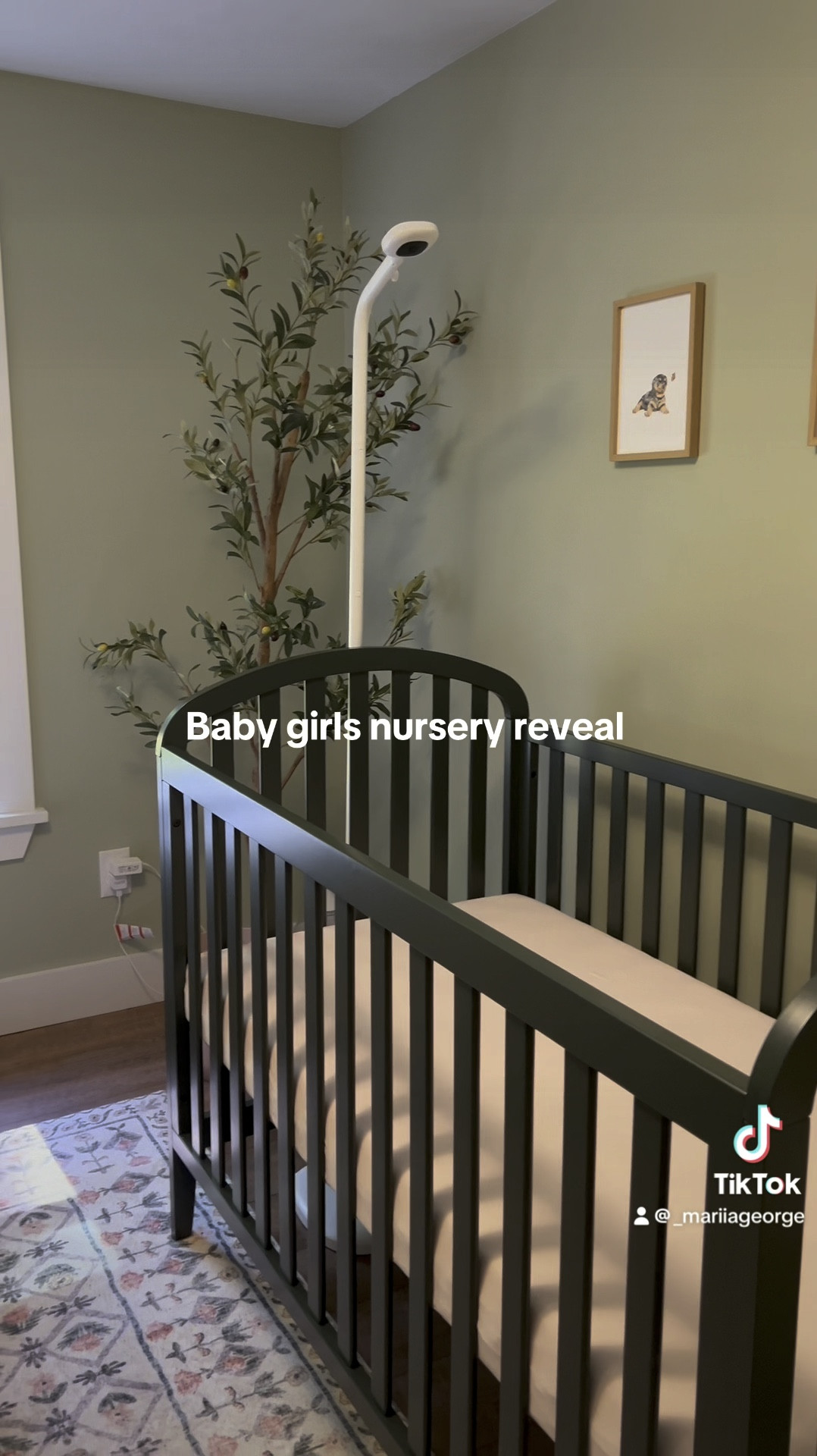 Baby girl garden inspired nursery 

Pink and green nursery, baby girl nursery, nursery reveal, Amazon baby finds, Amazon nursery, budget friendly nursery 