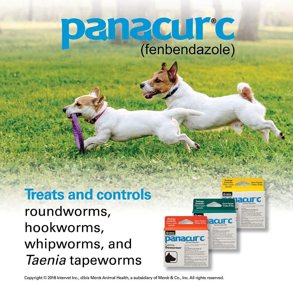 Panacur C Canine Dewormer (Fenbendazole), 4 Gram, 3 Count (Pack of 1), Red | Amazon (US)