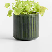 Tulu 9.05" x 9.05" Green Indoor/Outdoor Ceramic Planter | Crate & Barrel | Crate & Barrel