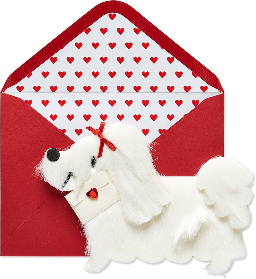Papyrus Dog Valentines Day Card (Special Delivery) | Amazon (US)
