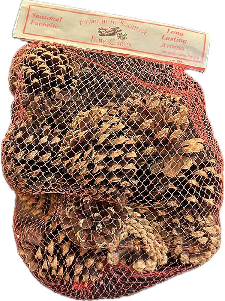 FLORAL Cinnamon Scented Pinecones, 1 EA | Amazon (US)