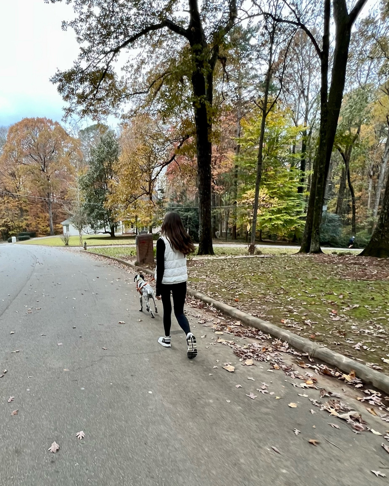 Color coordinating with Bullet was unintentional but cute! Shop my favorite items for brisk morning walks 

#LTKstyletip #LTKfit #LTKSeasonal