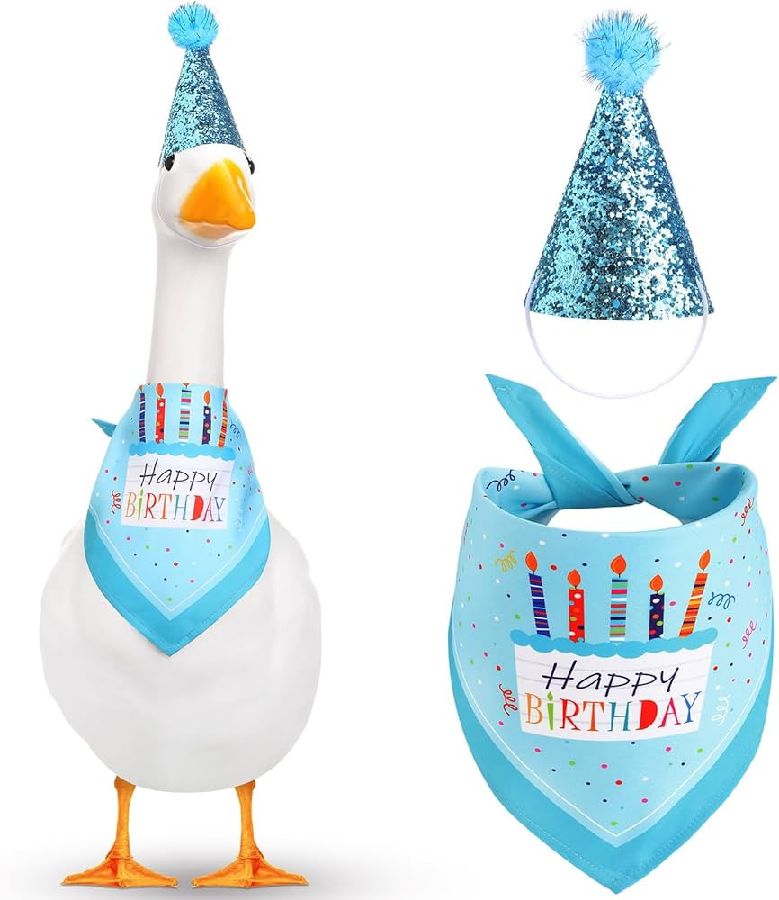 Happy Birthday Goose Outfit Lawn Goose Outfits with Glitter Birthday Hat and Bandana for 23" 17" ... | Amazon (US)