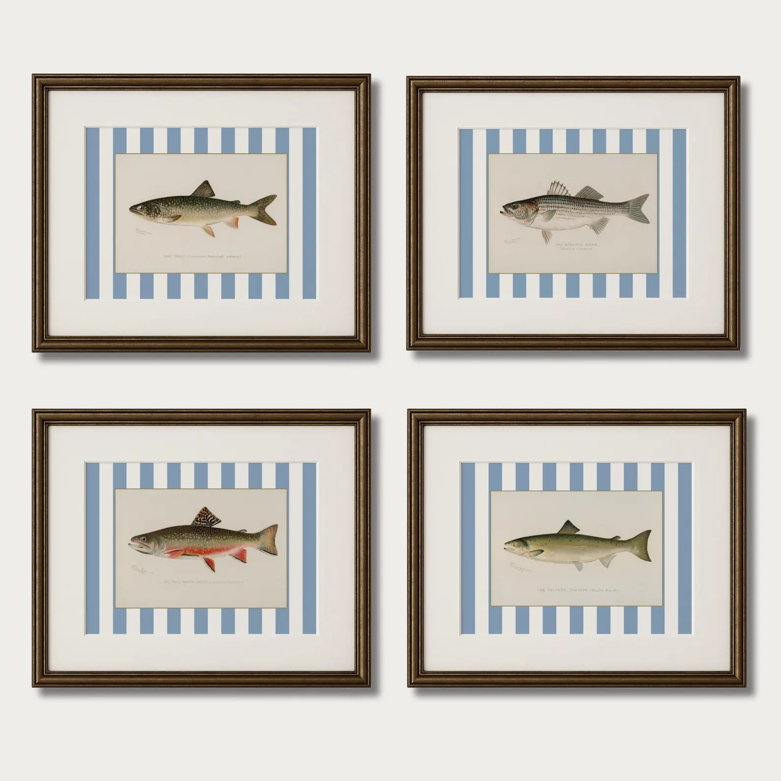 Vintage Fish Print Set of 4: Southern Coastal Nursery Art - Etsy | Etsy (Global)