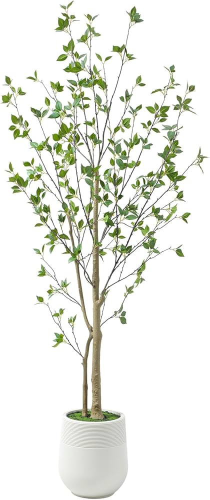 Bellacat 6ft Minimalist Artificial Citrus Tree with Large Exquisite Planter, 72in Faux Citrus Tre... | Amazon (US)