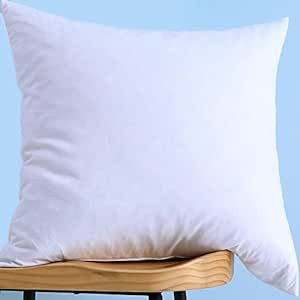 LunarTex Cotton Fabric Decorative Throw Pillow Insert, Down and Feather Throw Pillow Insert, 28X2... | Amazon (US)
