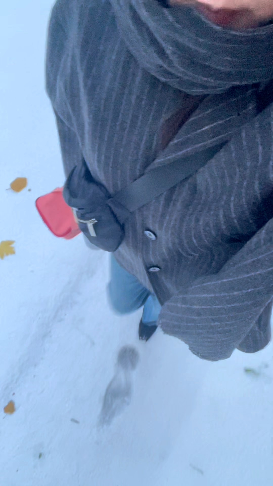 Snow day gear #ootd #grwm #fallfashion #outfitinspo #over40 #rnlife #chicago

#LTKootd #LTKOver40 #LTKdayinmylife