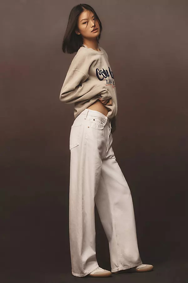 AGOLDE Low-Slung Baggy Jeans | Anthropologie (US)