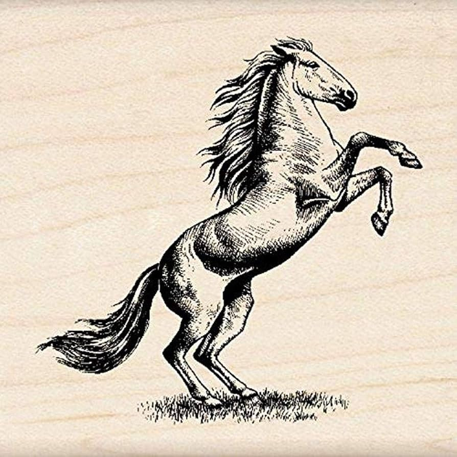 Inkadinkado Horse Wood Stamp for Scrapbooking and Card Making, 1 Piece 2.25'' W x 2.25'' L | Amazon (US)