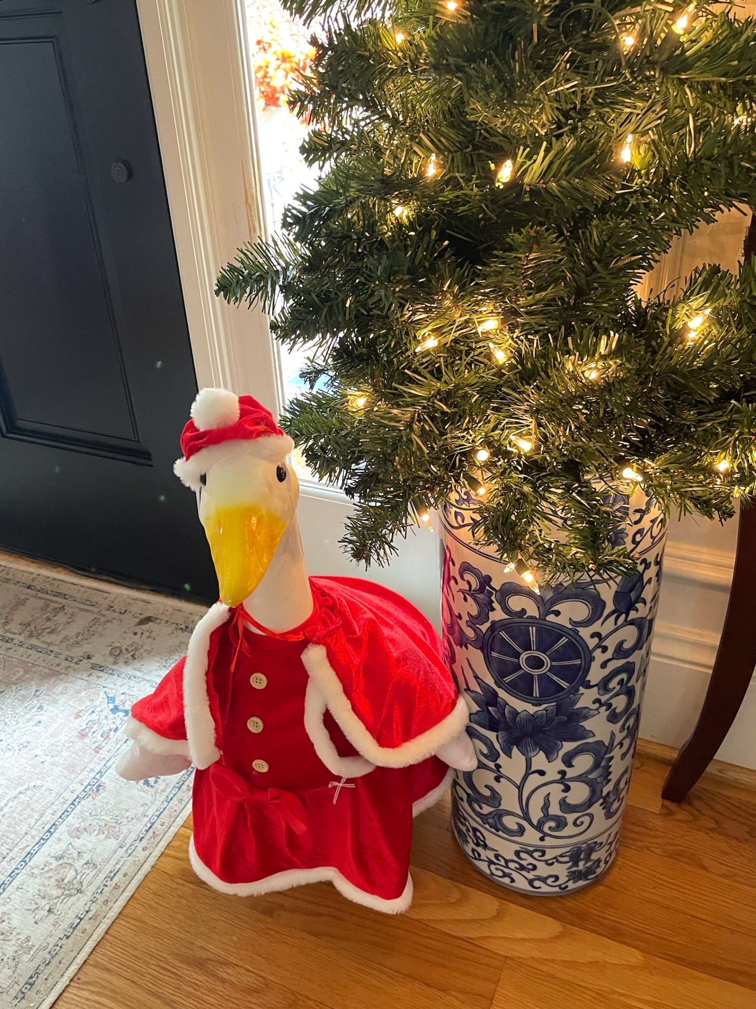 🪿🎅🏻 Mrs. Claus Goose by the Christmas Tree — Entryway Decor Magic ✨

Our entryway just got a whole lot cuter — Mrs. Claus Goose is officially dressed and ready for the holidays! ❤️🪿 She sits beside our blue & white pedestal vase, filled with a slim lit Christmas tree for the prettiest pop of classic holiday charm. Her little red velvet dress and cape are so sweet and festive, and I love how she ties in with the chinoiserie details throughout our home. This setup makes the whole entryway feel warm, whimsical, and perfectly Christmas-ready. 🎄✨

Linked items include her goose figurine, Mrs. Claus outfit, blue & white floral pedestal vase, and the 4ft pre-lit Christmas tree — such an easy and fun way to add personality to your holiday home!

entryway Christmas decor • Mrs. Claus goose • holiday goose outfit • chinoiserie Christmas • blue and white decor • slim prelit tree • festive home accents • whimsical Christmas decor • holiday decorating ideas • Amazon Christmas finds 🎄✨

#LTKHoliday #LTKFindsUnder50 #LTKHome