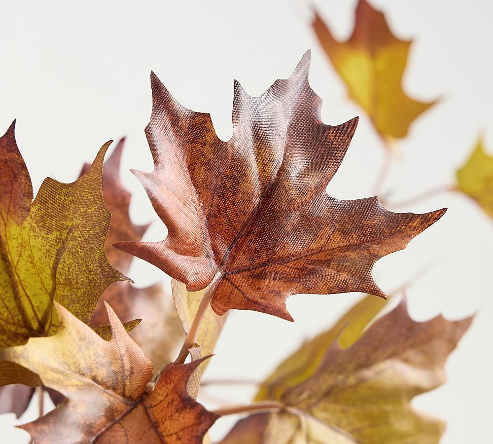 Faux Oversized Turning Maple Branch | Pottery Barn (US)
