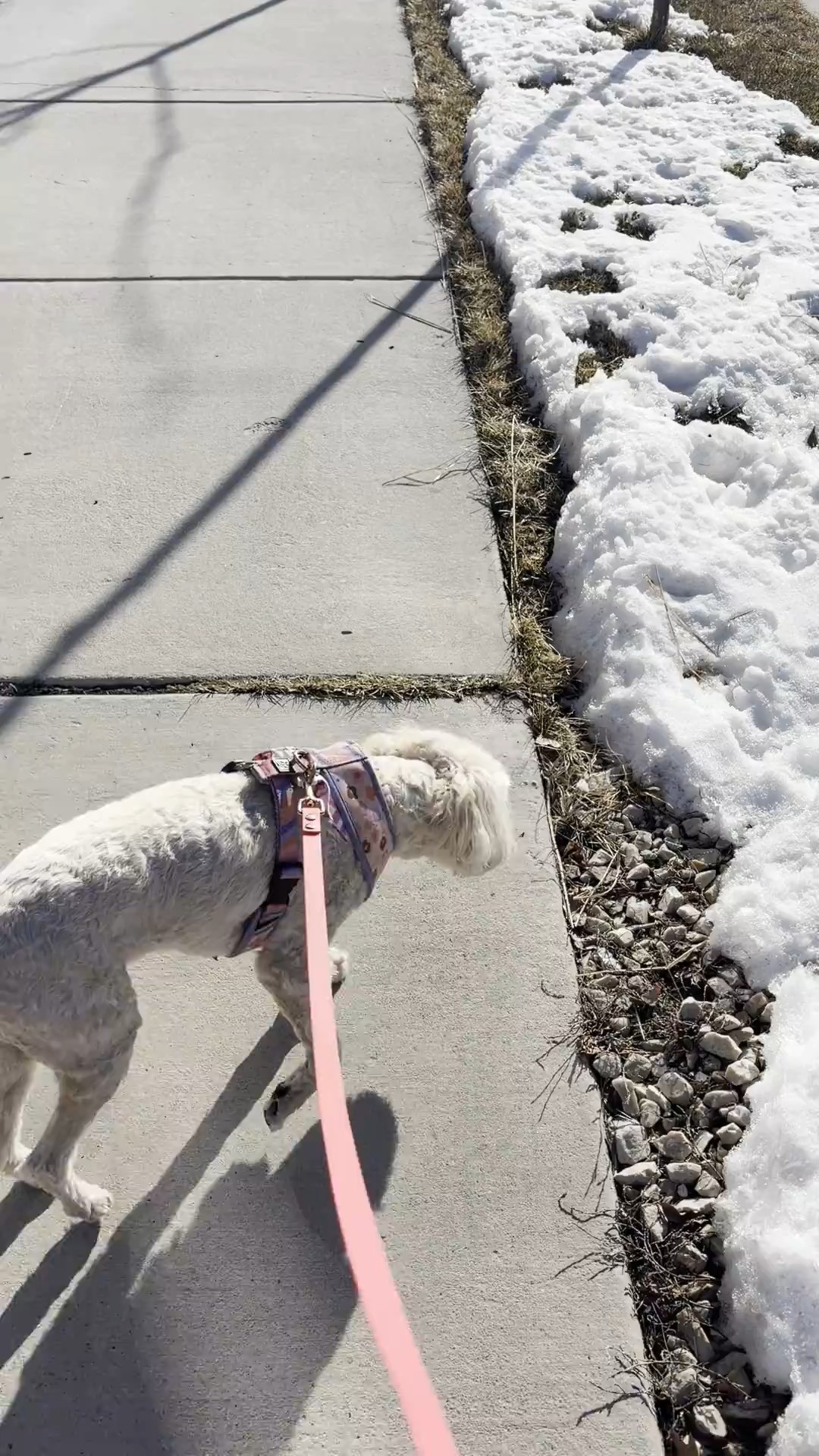 #LTKmomlife #LTKdayinmylife #LTKfitnessgoals