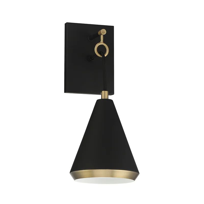 Astaryanza Steel Armed Sconce | Wayfair North America