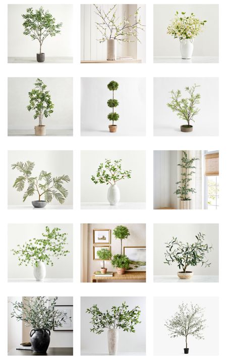 Faux greenery! Stems , trees and topiaries.



#LTKhome #LTKSeasonal #LTKMostLoved
