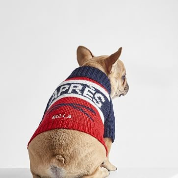 Apres Ski Knit Dog Sweater | Mark and Graham