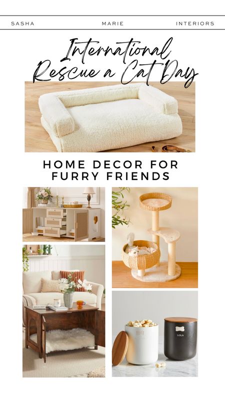 It’s International Rescue a Cat Day! Here’s our top home decor picks for your furry friends! #LTKhome #LTKStyleShop #LTKPets 