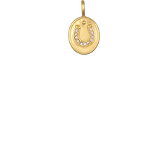 Horseshoe Charm | Sequin