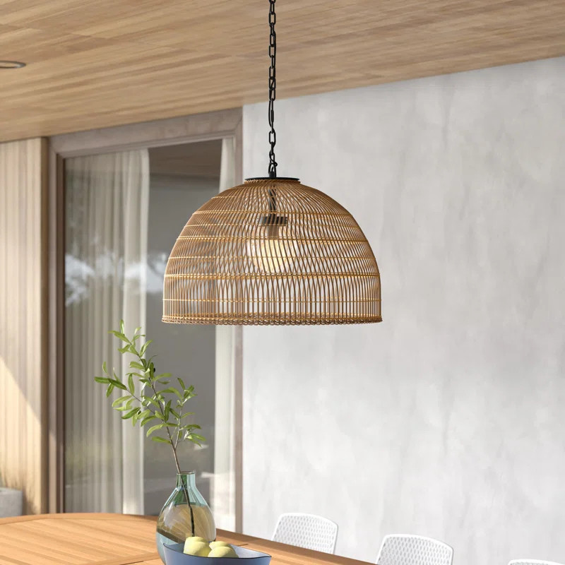 Aundra Outdoor Pendant | Wayfair North America