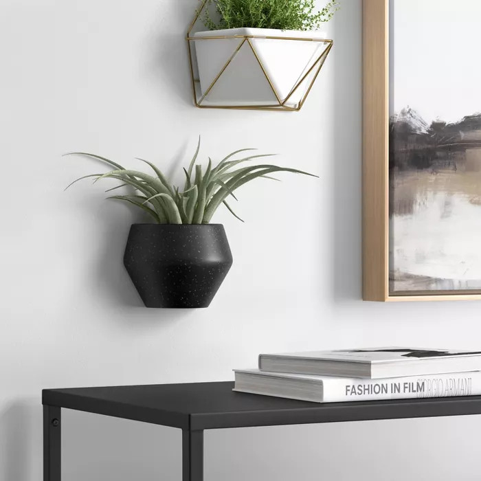 Large Hanging Succulents Wall Sculpture Black - Project 62™ | Target