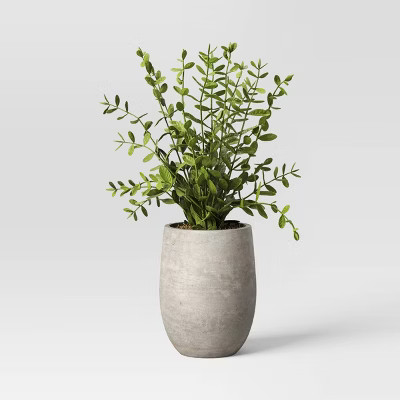 14" Privet Artificial Plant - Threshold™ designed with Studio McGee: No-Maintenance Greenery, I... | Target