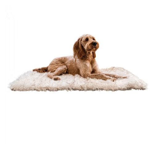 Paw Brands PupRug Portable Orthopedic Dog Bed, 46" L X 30" W X 1" H, White with Brown Accents | Petco
