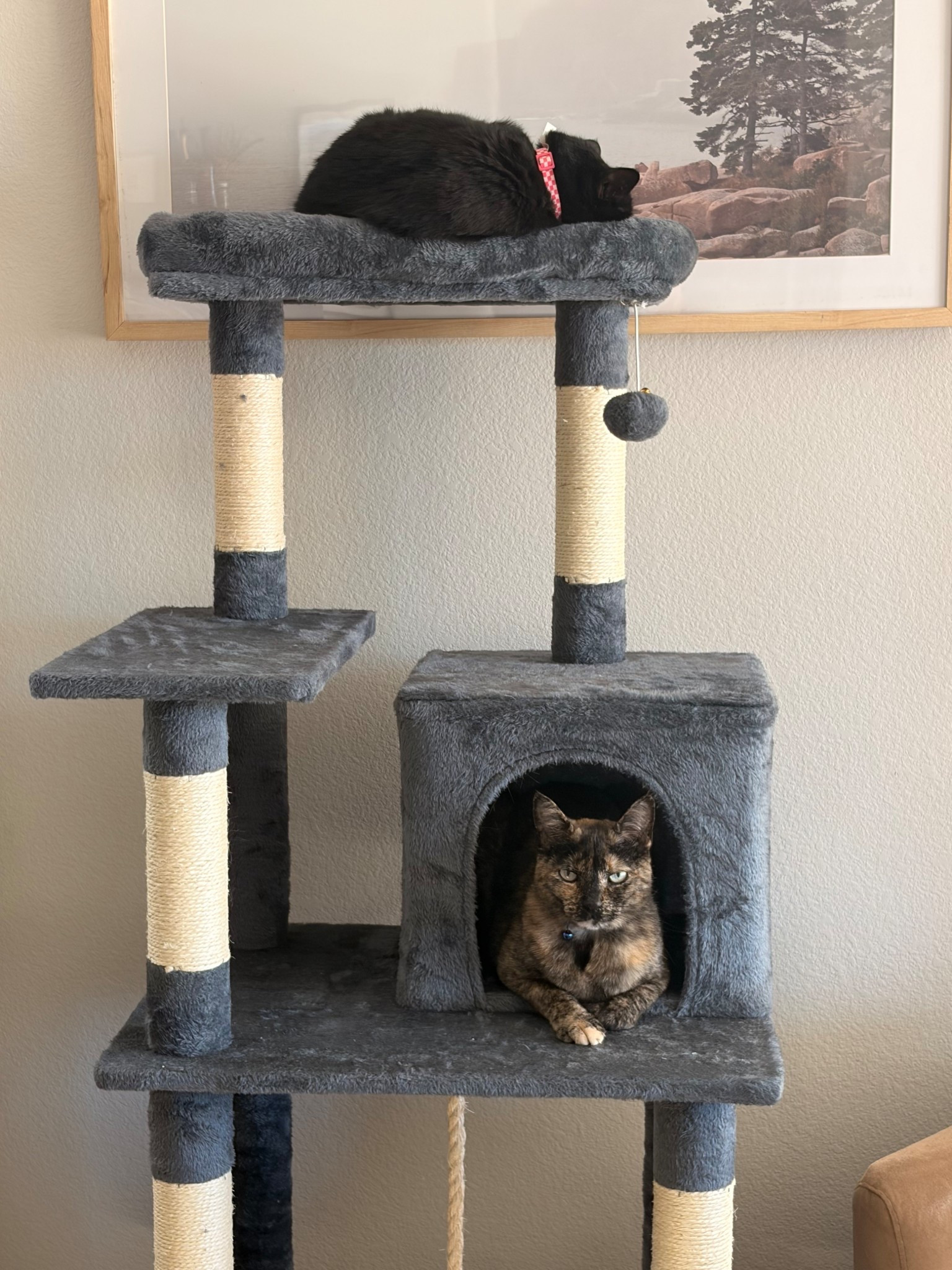 They’re happy about the renovation 

#LTKdayinmylife #LTKmomlife #LTKHome