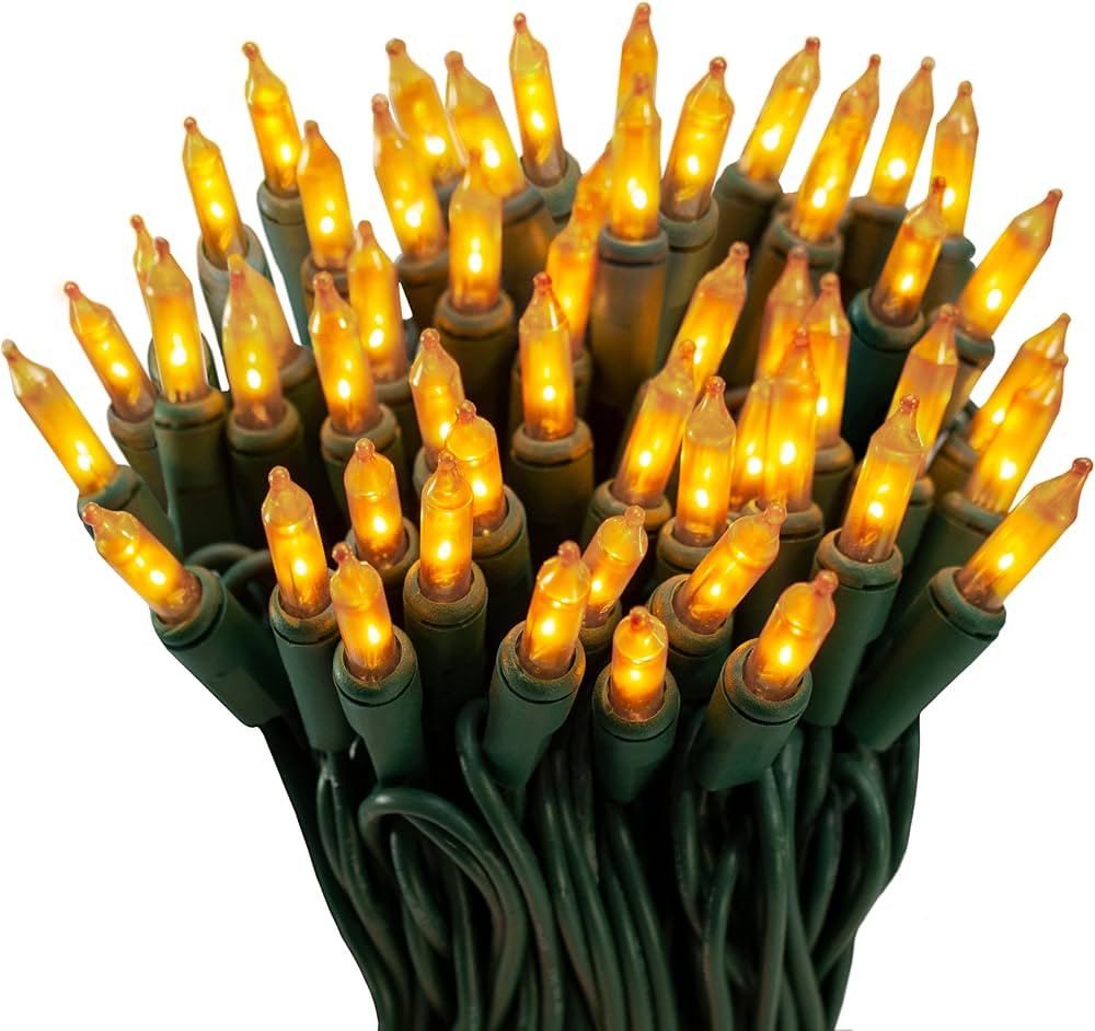 100 Gold Frost Christmas Lights on a Green Wire String, UL Approved, Indoor and Outdoor Use, 18 F... | Amazon (US)