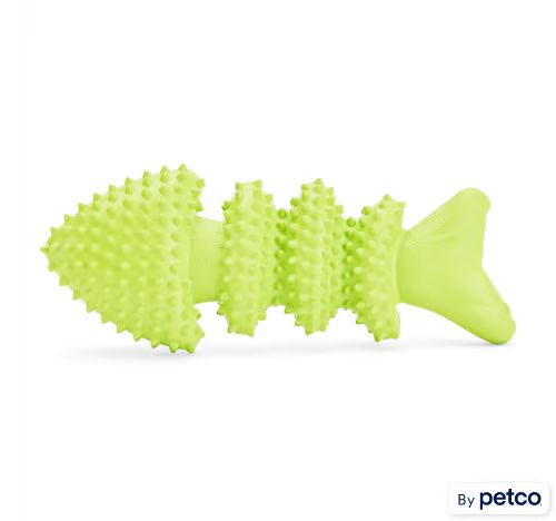 Leaps & Bounds Rubber Fish Dog Toy, Medium | Petco