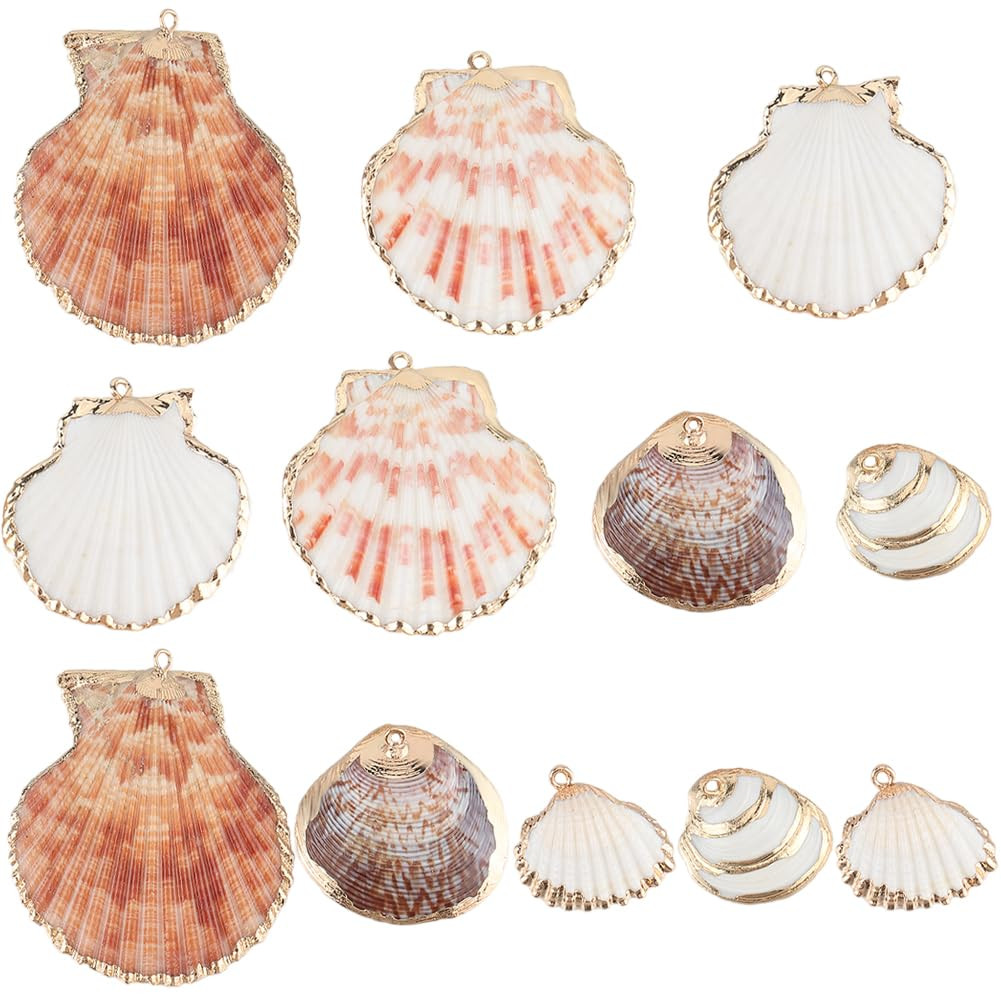 SUNNYCLUE 1 Box 6 Styles 24pcs Natural Shell Charms Sea Shell Charms Summer Ocean Beach Theme She... | Amazon (US)